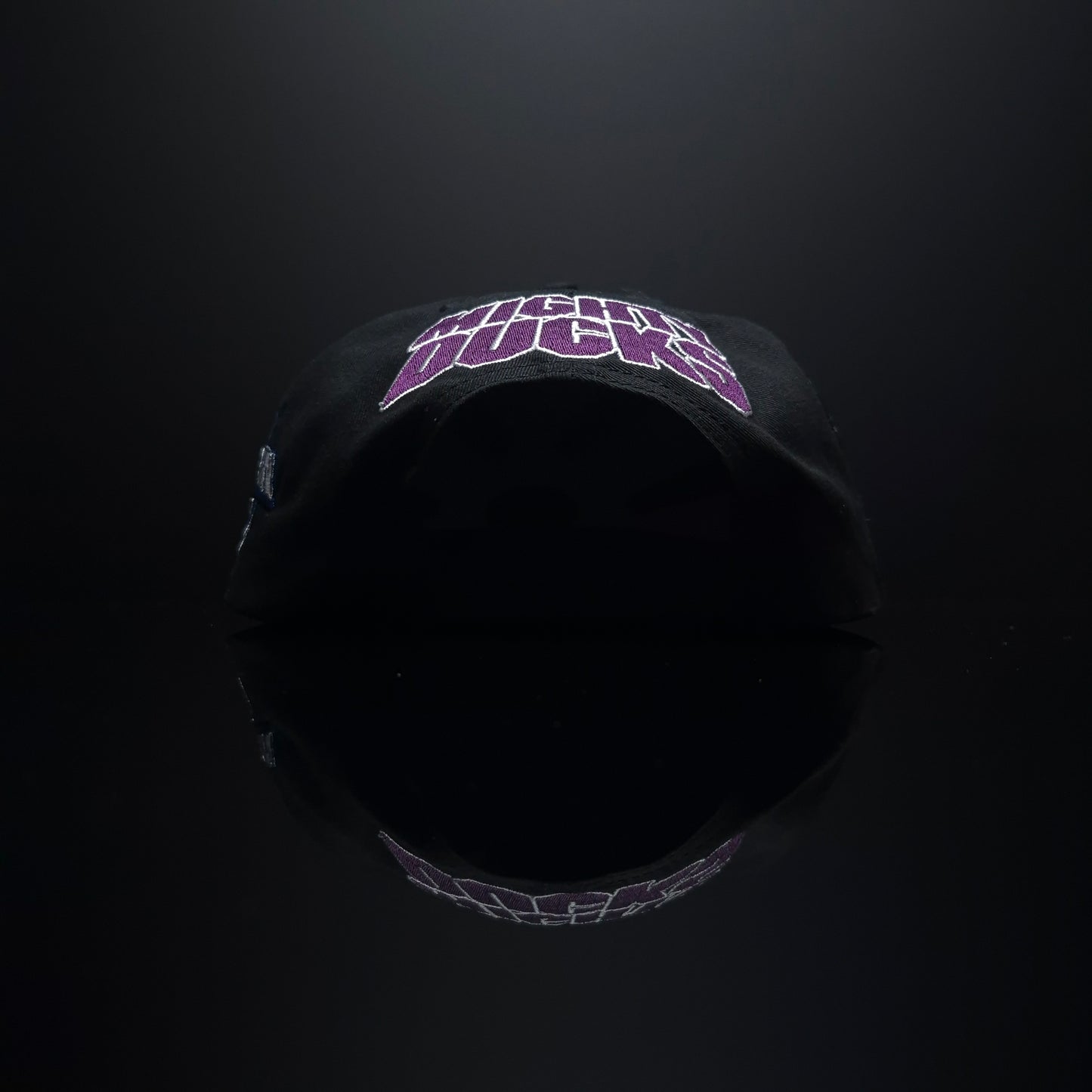 //ANA Ducks v0.1 Snapback Hat
